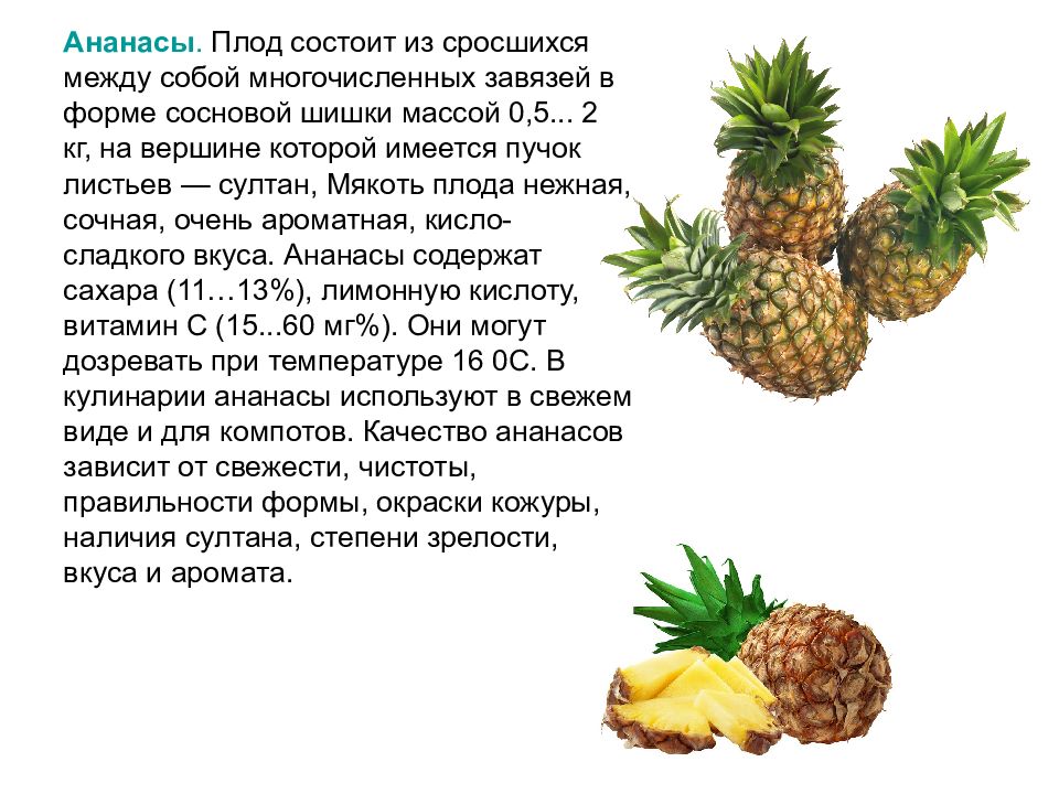 Ананас при беременности полезен, но в умеренных количествах: рекомендации акушеров-гинекологов