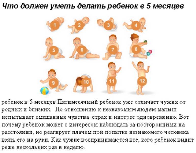 Что должен уметь ребёнок в возрасте 2 месяца. развитие новорожденного в 5, 6, 7, 8 недели жизни | fabimilk