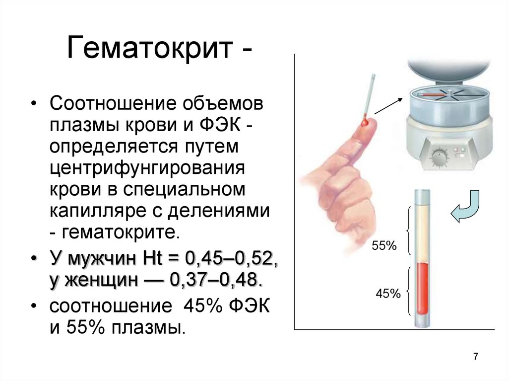 Анализ крови на сахар из вены:  правильная подготовка и сдача, таблица с нормальными показателями, стоимость