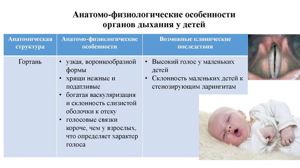 Черты характера новорожденных детей