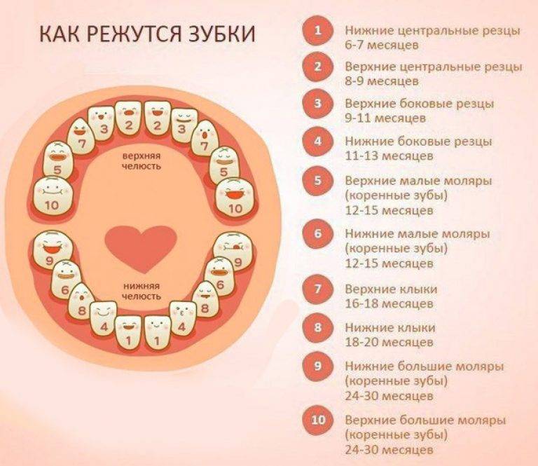 Прорезывание зубов у детей: 12 общих вопросов.