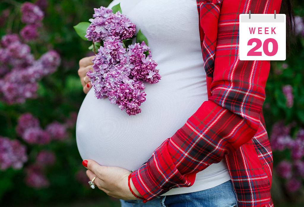 20 неделя беременности. календарь беременности   | материнство - беременность, роды, питание, воспитание