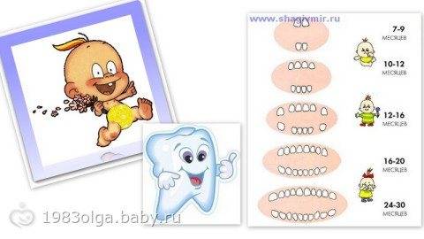 Понос при прорезывании зубов у детей:сколько дней, что делать, чем лечить жидкий стул.