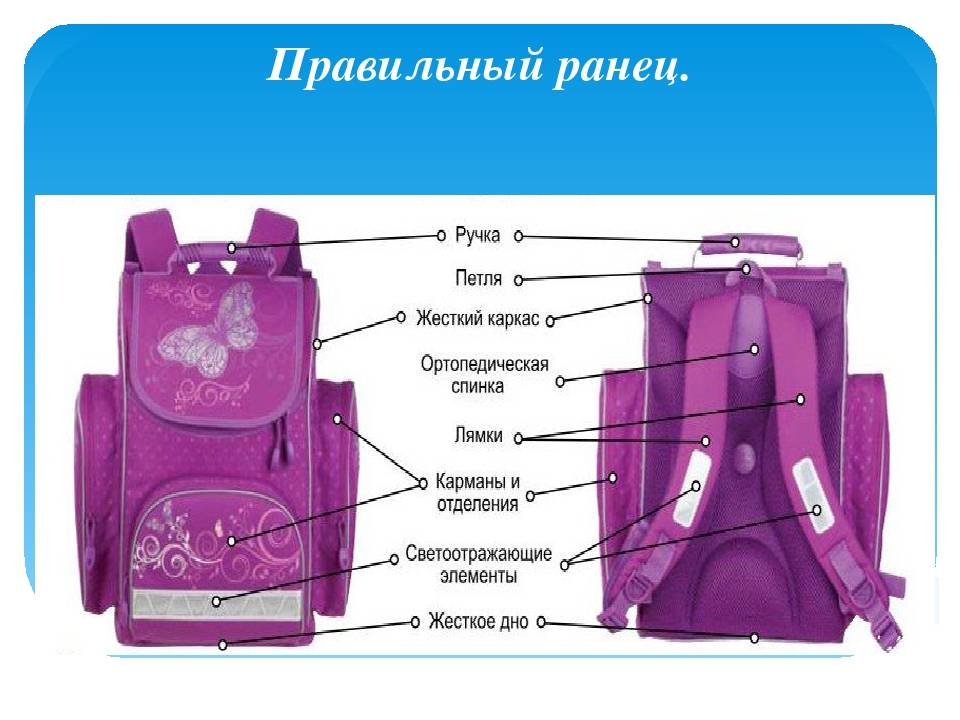 Как выбрать школьный рюкзак для первоклассника 1 класс